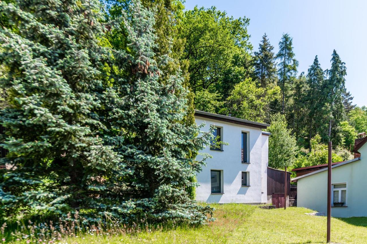 Haus Am Wald Vila Bad Schandau Exterior foto